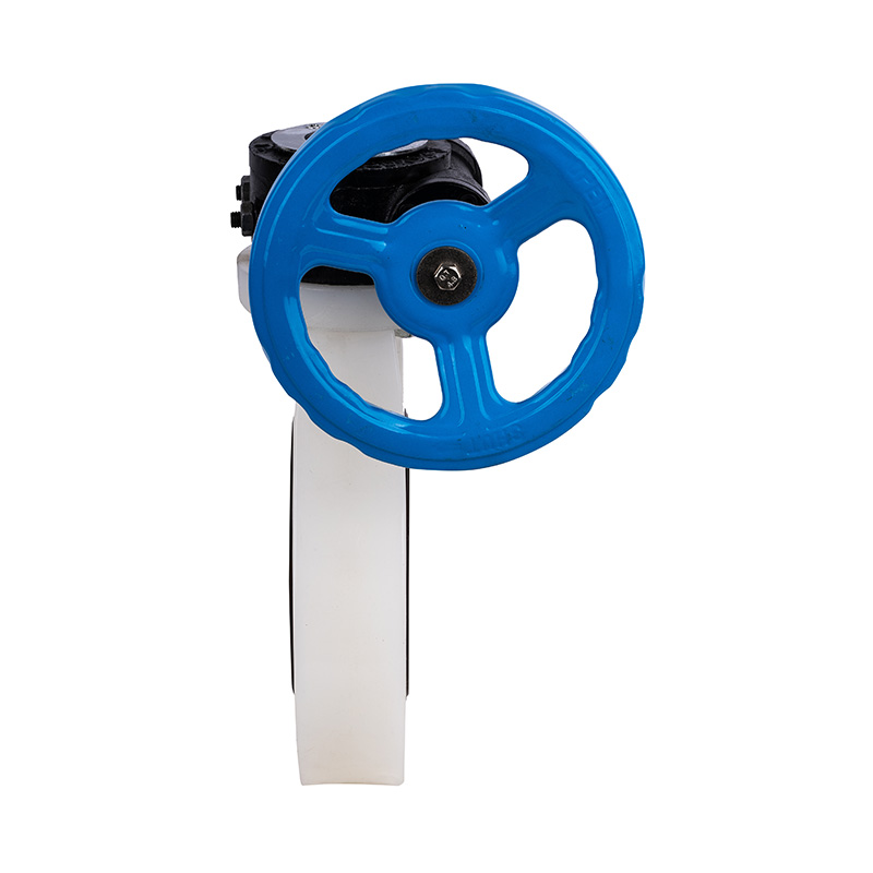 PVDF D371X-10F matovaihteinen läppäventtiili DN40-1000 40A-1000A JIS standardi